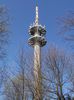 101_3027a.jpg