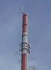 DSC00596c.jpg