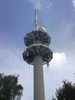 DSC00598a.jpg